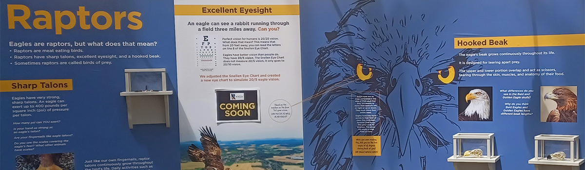 eagle exhibit masters of the sky 2