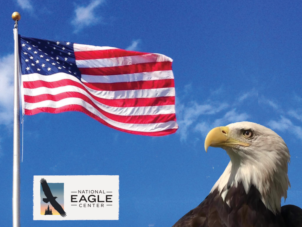 National Eagle Center Honoring Veterans Throughout November