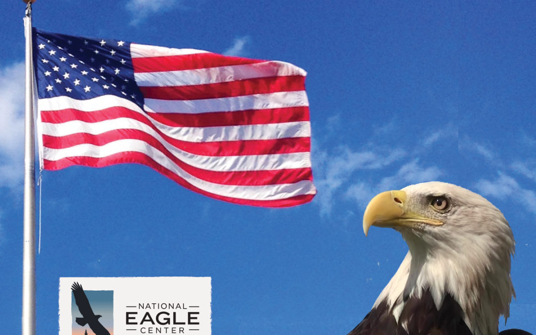 National Eagle Center Honoring Veterans Throughout November