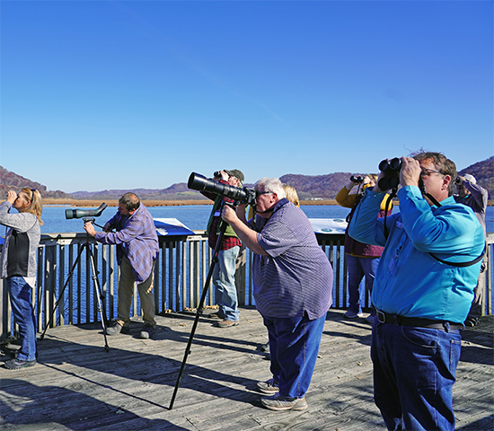web_HabitatTours2023 Visit Live Eagles
