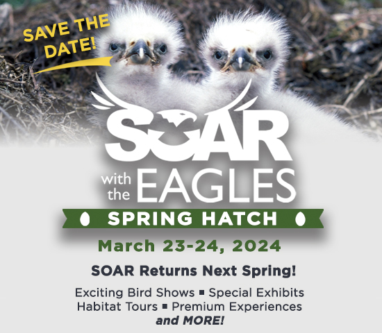 web_Spring2024_Promo Visiting