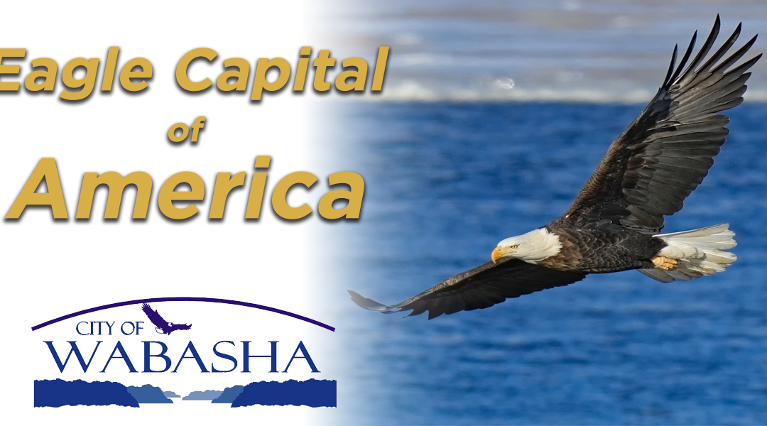 Wabasha Declared “Eagle Capital of America”