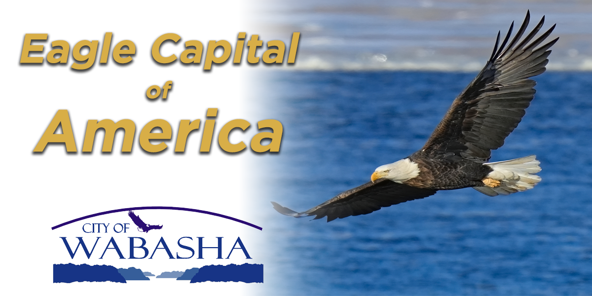 Wabasha Declared "Eagle Capital of America" National Eagle Center