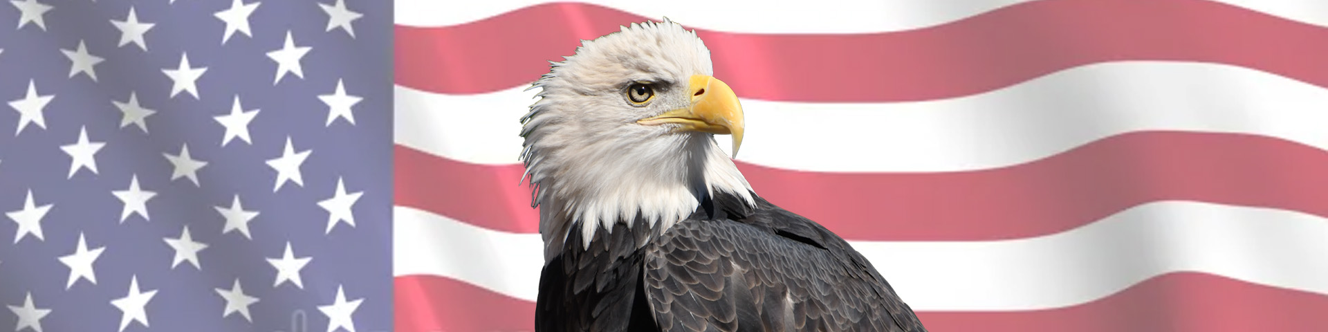 Bald Eagle Day - National Eagle Center, image size:1920x480