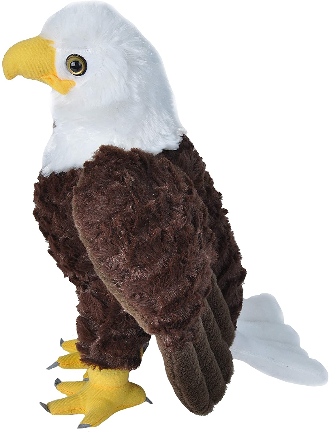 CKBaldEagleside American Eagle Book