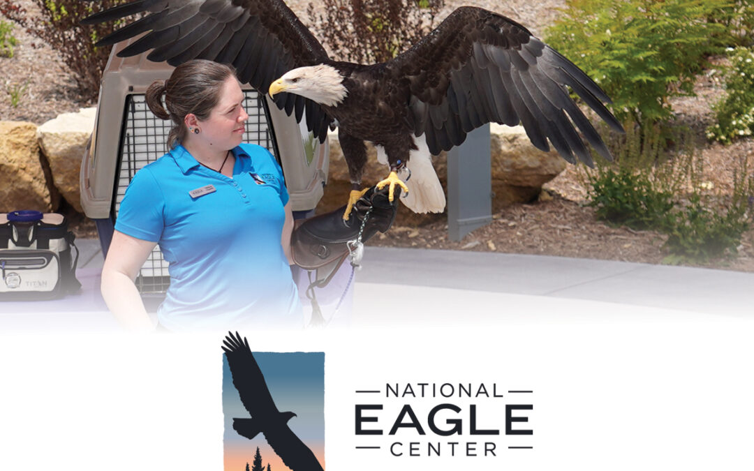 National Eagle Center Announces Updated Admission Pricing