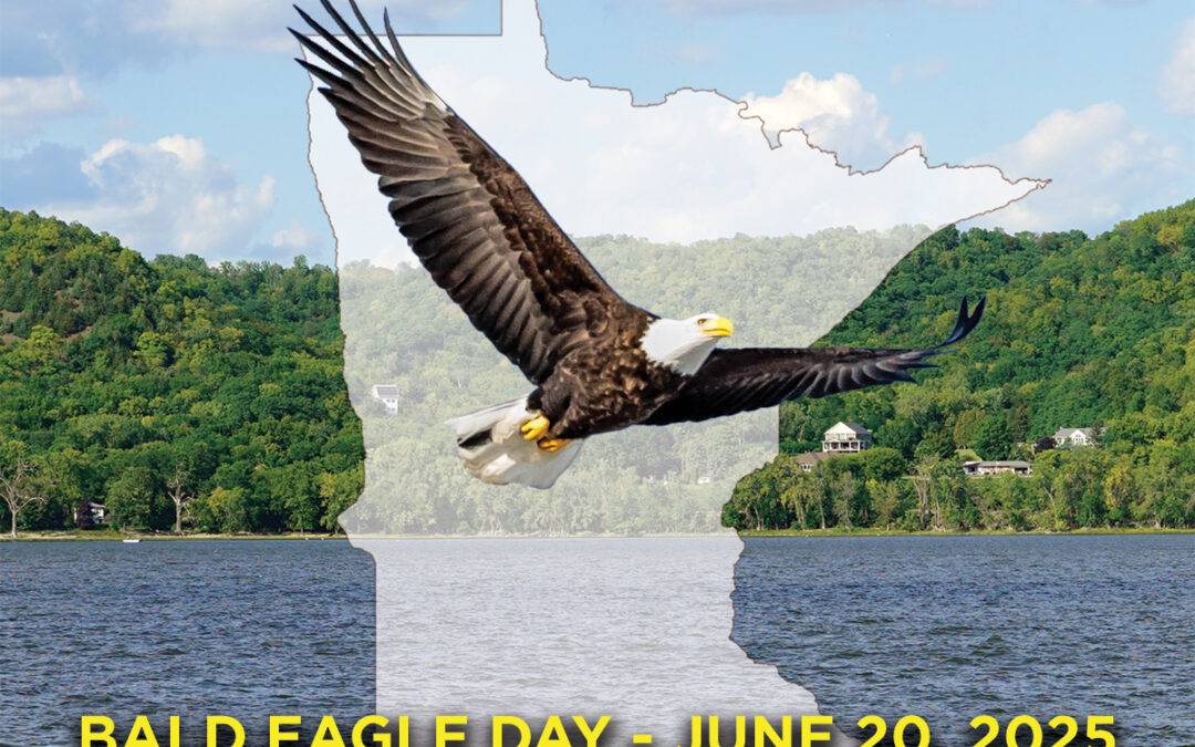 Governor Walz Proclaims June 20 Bald Eagle Day in Minnesota