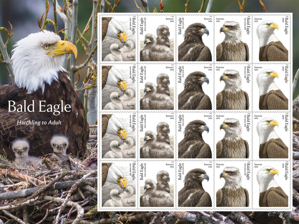 National Eagle Center to Host First Day of Issue Stamp Ceremony May 14