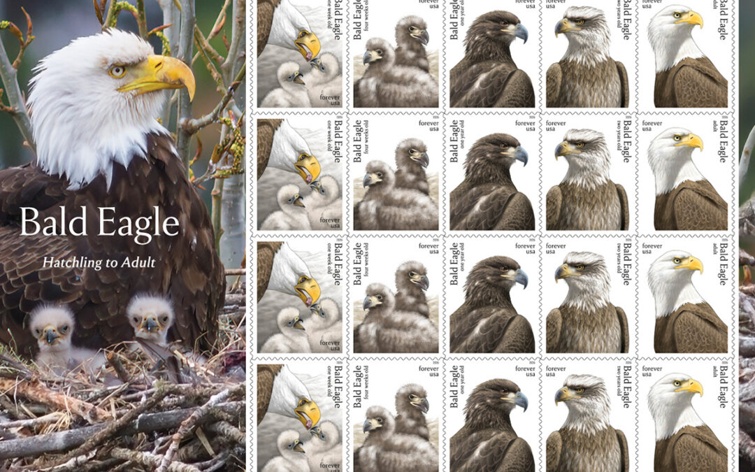 National Eagle Center to Host First Day of Issue Stamp Ceremony May 14