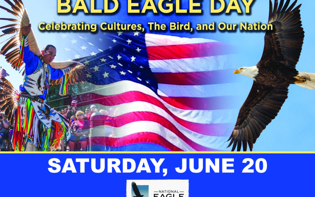 Bald Eagle Day Coming to the National Eagle Center Saturday, June 20