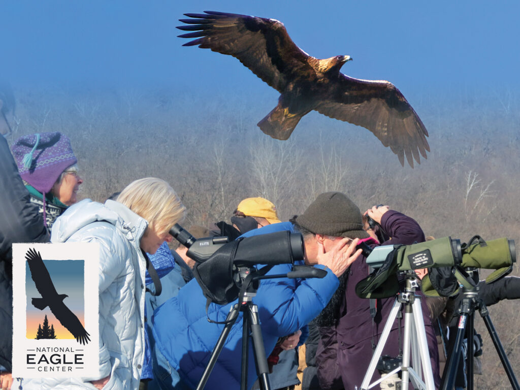 National Eagle Center Announces 2026/2027 Winter Field Trip Schedule