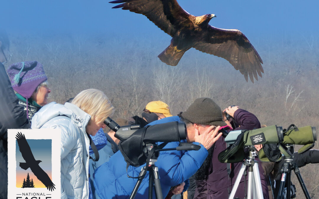 National Eagle Center Announces 2026/2027 Winter Field Trip Schedule